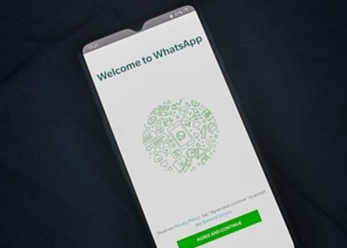 Cara Masuk ke WhatsApp di Ponsel Tanpa Kartu SIM