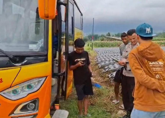 Viral! Bus Rombongan Pendaki Gunung Sumbing Terjebak di Area Pertanian Dekat Kuburan, Gegara Ikuti Google Maps