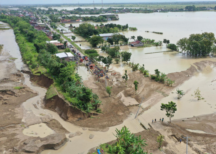 Tanggul Sungai Tuntang Jebol Lagi, Banjir Grobogan Rendam 42 Desa dan 1.850 Hektare Sawah