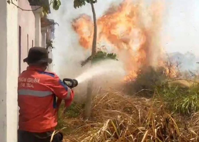 Dalam Sehari Tiga Kali Si Jago Merah Ngamuk di Kabupaten Tegal, Damkar Kelabakan