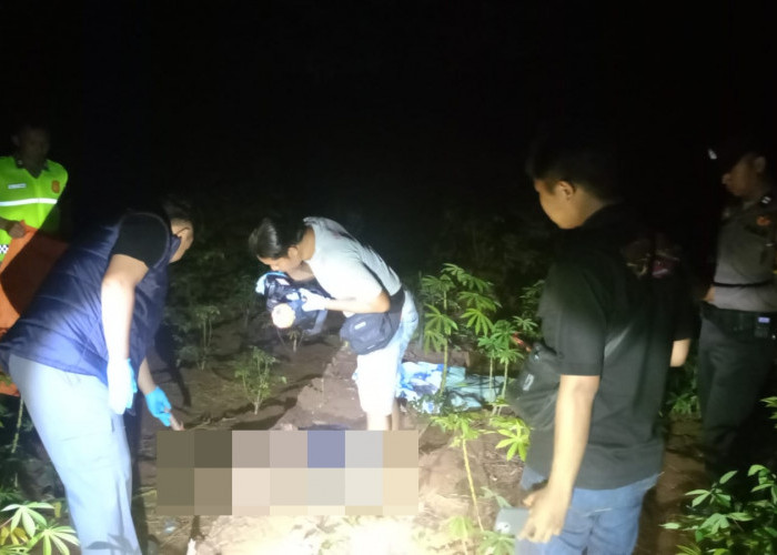 Kakek 82 Tahun Ditemukan Meninggal di Kebun Singkong di Pekalongan Usai Dua Hari Hilang