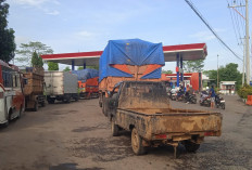 Sopir Truk Pantura Batang-Pekalongan Keluhkan Susahnya Isi Solar Jelang Nataru