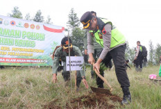 Jadi Lahan Pertanian Secara Ilegal, Aparat Gabungan Reforestasi Hutan Lindung di Petungkriyono 
