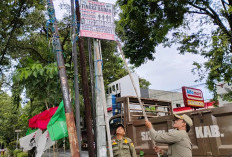 Satpol PP Grobogan Bongkar Puluhan Papan Reklame Ilegal di Kawasan Purwodadi 