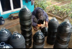 Dharma Wana Pemalang Ubah Limbah Jadi Sarana Penghijauan 