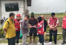 Puting Beliung Terjang Warureja Tegal, Belasan Rumah Warga Rusak