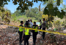 Polda Metro Jaya Bongkar Makam Sutrimo di Banyumas, Jenazah Diperiksa Tim Forensik