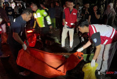 Kecelakaan Maut di Purworejo, Kakak Beradik Tewas Usai Motor Tabrakan dengan Pickup