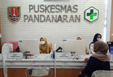 Ancaman Hantavirus dan Leptospirosis Mengintai Semarang, Dinkes Gencarkan Pemberantasan Tikus