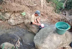 Dua Bulan Tak Hujan, Warga Dukuhbangsa Tegal Gunakan Air Sawah  