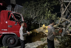 Tutup Jalan Pati-Juwana Dini Hari, Pohon Trembesi 1,2 Meter Dievakuasi Polisi