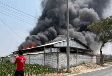 Gudang Rosok di Japeledok Pancur Rembang Ludes Terbakar, Diduga Akibat Bakar Sampah Plastik