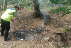 Polsek Juwangi Gerak Cepat Verifikasi Hotspot Sipongi, Sumber Api dari Lahan Milik Perhutani