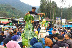Makna Dibalik Gunungan Ruwat Bumi Guci Tegal 2026 yang Diperebutkan Ribuan Warga