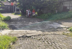 Gunungpati hingga Sadeng Masuk Zona Rawan, BPBD Semarang Ajukan EWS Longsor ke Pemprov Jateng