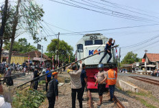 Tiang WiFi Roboh ke Rel, Perjalanan Kereta di Sragi Pekalongan Sempat Terganggu 30 Menit