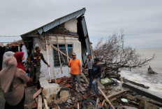 Rumah Warga di Purwahamba Tegal Ambruk Akibat Abrasi, Galangan Kapal Disorot