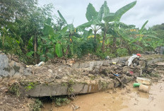 Talud Perumahan Rowosari Megah Asri 2 Semarang Jebol, Warga Tembalang Desak Pembuatan Tanggul Darurat 