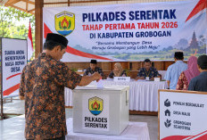 Tujuh Istri - Satu Suami dari Anggota DPRD Grobogan Siap Bertarung dalam Pilkades Serentak 2026, Tiga Petahana