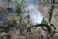 Dua Kebakaran Landa Kebumen dalam Sehari, 5,7 Hektare Lahan Hangus Dilahap Api 