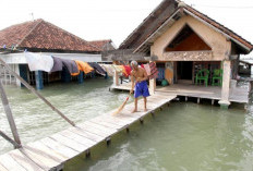 Tanah Sayung Turun hingga 20 Sentimeter per Tahun, Timbulsloko Hadapi Ancaman Rob Berulang