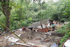 Tanah Bergerak Ancam Permukiman Semarang, BPBD Kota Semarang Siaga