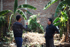 Napak Tilas Tempat Persembunyian Pasukan Kapten Sudibyo di Tunon Kota Tegal, Jadi Saksi Sejarah