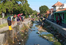 Mahasiswa KKN Gerakkan Aksi Bersih Sungai di Krandon Kota Tegal