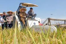 Target Nasional Terlampaui, Jawa Tengah Mantap Jadi Penyangga Pangan Nasional
