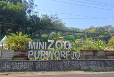 Mini Zoo Purworejo Tinggal Puing, Proyek Rp9,69 Miliar Berujung Korupsi dan Rugikan Negara Rp6,53 Miliar