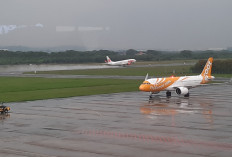 Arus Penumpang Nataru di Bandara Ahmad Yani Semarang Tembus 8.400 Orang, Mayoritas Tujuan Cengkareng