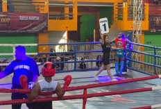 Tujuh Belas Petarung Wanita Panaskan Arena Shaduk Jotos Kudus di Partai Profesional dan Influencer
