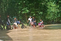 Tanggul Sungai Waridin Jebol, Banjir Rendam 695 Rumah di Kendal, 1 Warga Meninggal