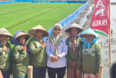 Demak Kejar Swasembada Pangan, Bantuan Alsintan Rp10 Miliar dan 93 Irigasi Perpompaan Disiapkan