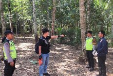 Tragis, Penderes Nira di Puring Kebumen Meninggal Setelah Jatuh dari Pohon Kelapa