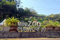 Kejari Purworejo Buka Peluang Tambah Tersangka Kasus Mini Zoo Jika Ada Fakta Baru di Persidangan