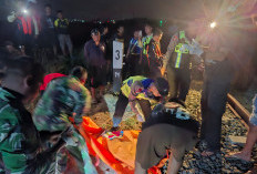 Petani Lansia Meninggal Tertabrak KA Kaligung di Jalur Ponowareng Batang