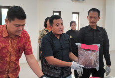 Dugaan Keracunan MBG di Pati, Polisi Uji Sampel Makanan dan Usut Potensi Pidana