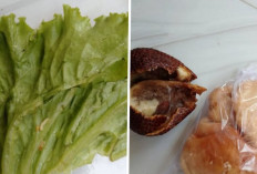 Menu MBG Buah Busuk dan Sayur Berbelatung Dikeluhkan Ortu Siswa di Losari Brebes
