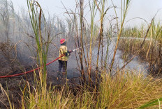 23 Kebakaran Lahan Terjadi di Batang, 14 Kasus Dipicu Bakar Sampah