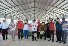 Pasar Kobong Bangkit, Wali Kota Semarang Resmikan Pasar Ikan Rejomulyo Hasil Aspirasi Pedagang