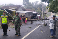 BPBD Kabupaten Semarang Catat 17 Rumah di 3 Kecamatan Terdampak Bencana Angin Puting Beliung  