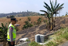 Satelit NASA-MODIS Mendeteksi Titik Panas di Pringapus Kabupaten Semarang
