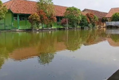 Sepekan Terendam Genangan Setinggi 50 Cm, SMPN 3 Bonang Tetap Gelar Pembelajaran