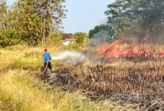 Sehari, Tiga Insiden Kebakaran Terjadi di Tegal, Kelalaian Jadi Biang Kerok