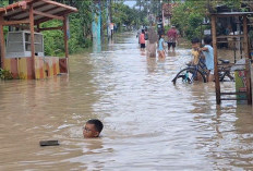 Luapan Sungai Comal Rendam 5.420 Rumah di Pemalang, Warga Sulit Beraktifitas