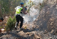 Lahan 1,3 Hektare di Grenggeng Kebumen Terbakar, Diduga Berawal dari Pembakaran Sampah