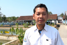Fenomena Bediding Ancam Budidaya Ikan, BBI Pringtutul Kebumen Perketat Perawatan Indukan