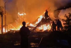 Kandang Berisi 45.000 Ayam di Brati Terbakar, Kerugian Capai Rp 2,5 Miliar