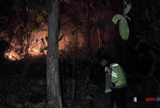 Lahan Perhutani di Buayan Kebumen Terbakar, Sekitar 5 Hektare Terdampak